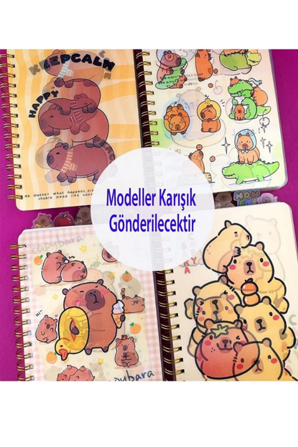 ALLStore Capybara (KAPİBARA) Hologram Kapaklı 5 Bölmeli Defter 120 YAPRAK