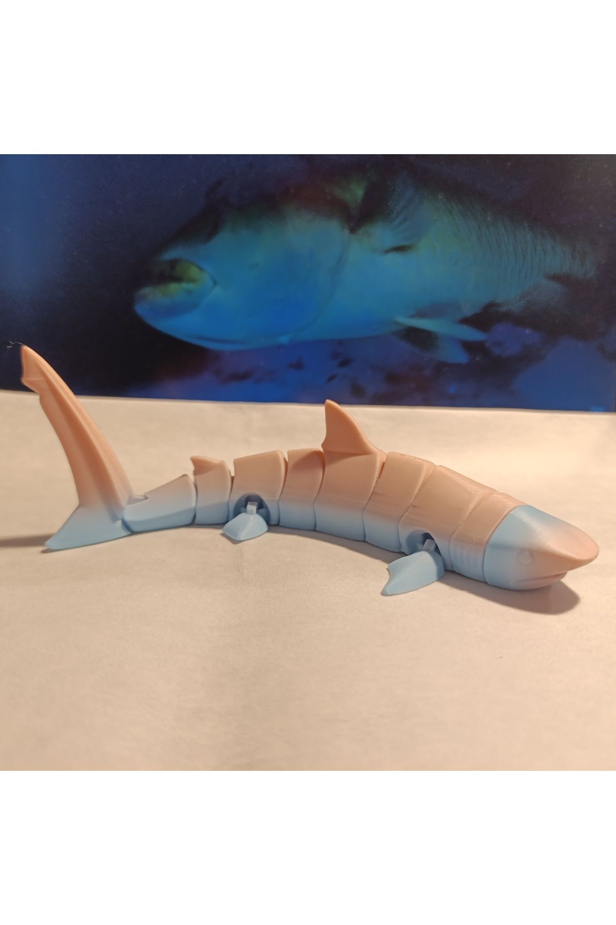 Mey3DDesign Kaplan Köpekbalığı Figür Oyuncak, Fleksi ve Komple Hareketli, 20 cm Karışık Renkli 3D Baskı