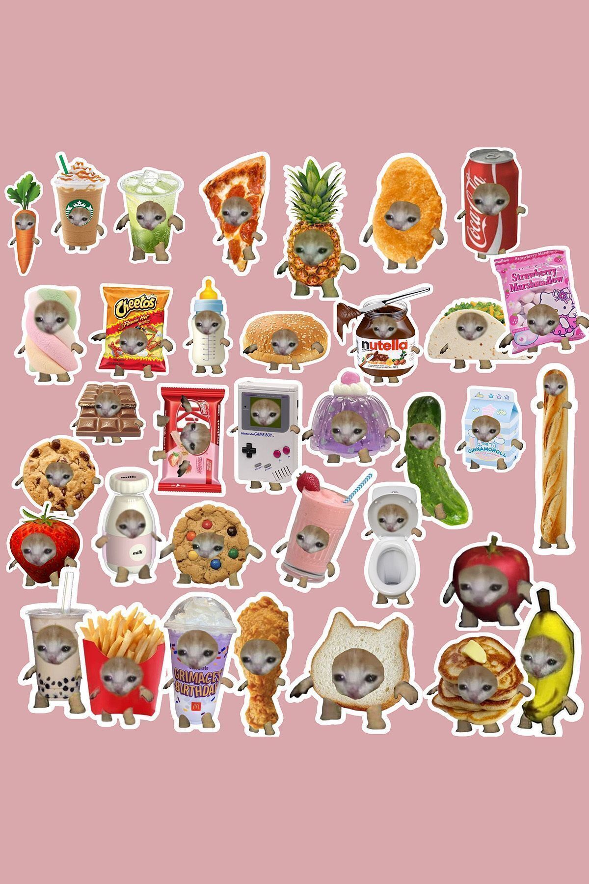 MS Major Selection Şapşal kedi Komik kedi sticker paketi /bullet journal defter çıkartma ajanda laptop etiket