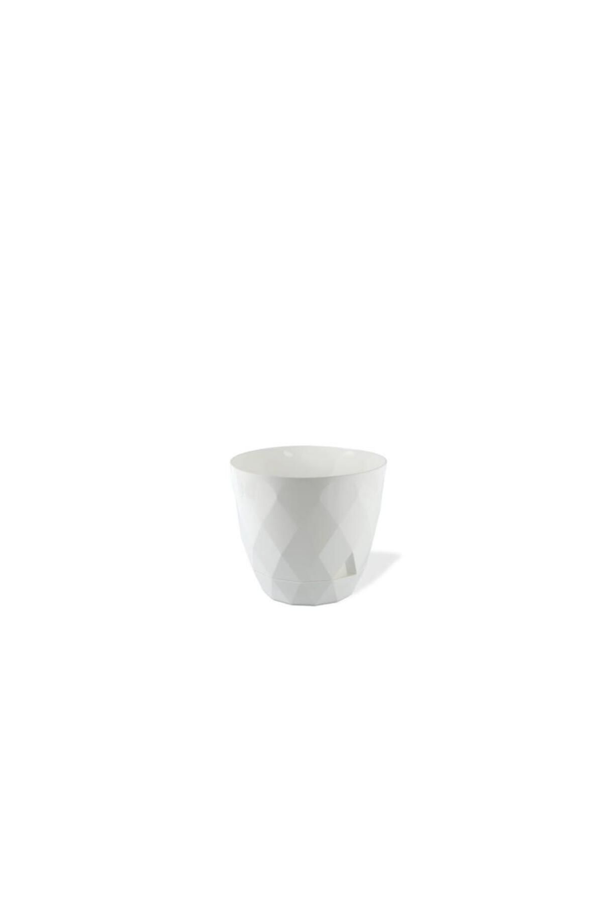 Omnipazar KRS-450 Yakamoz Tabaklı Plastik Saksı Takımı 0.3 Litre No 0