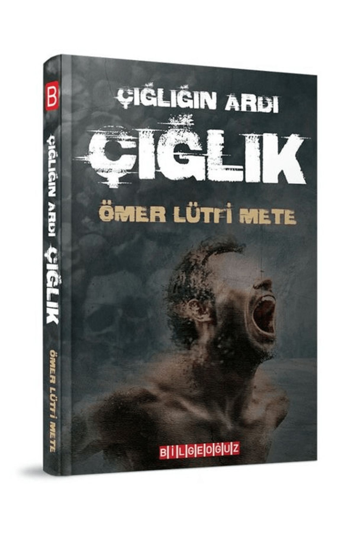 Bilgeoğuz Yayınları Çığlığın Ardı Çığlık