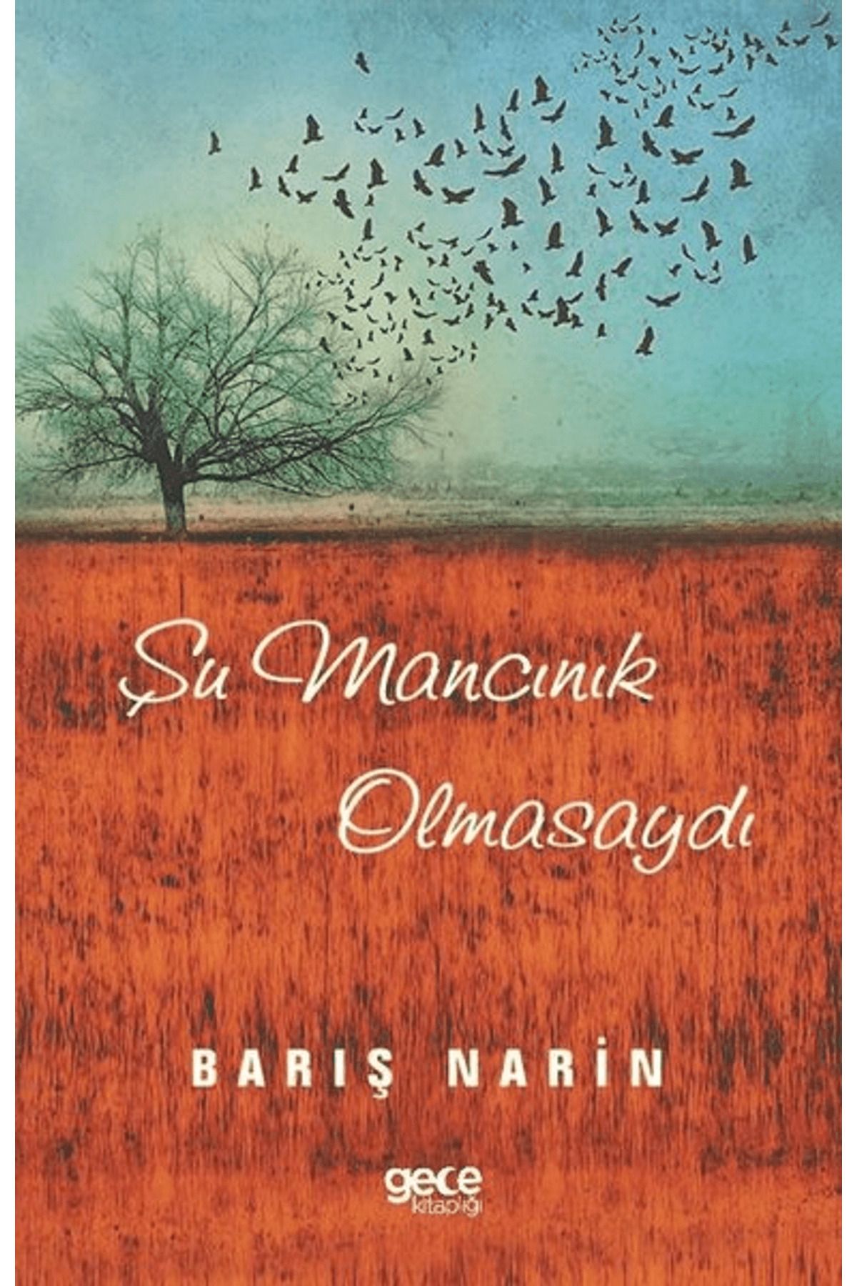 Gece Kitaplığı Şu Mancınık Olmasaydı