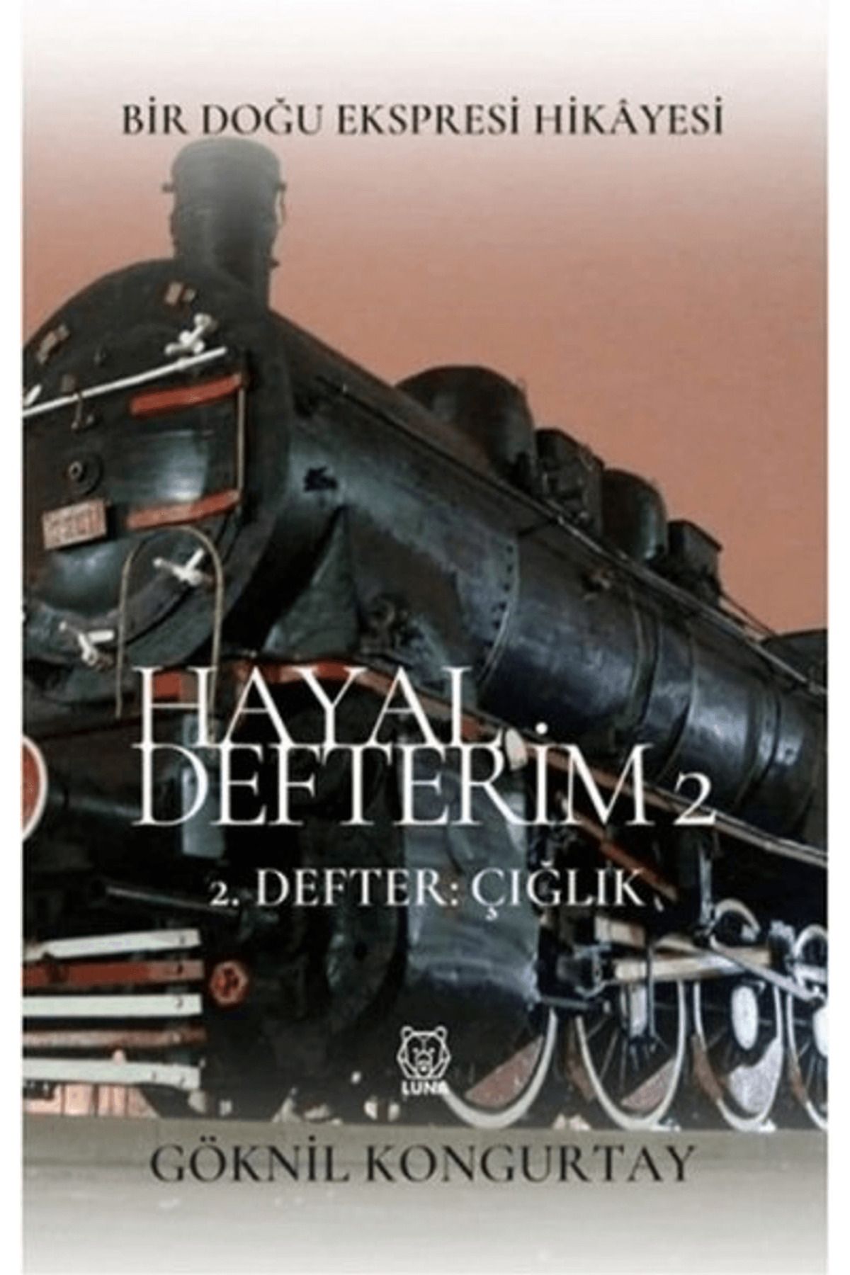 Luna Yayınları Hayal Defterim 2