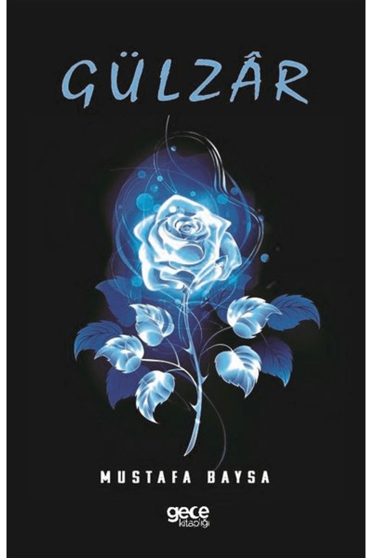 Gece Kitaplığı Gülzar