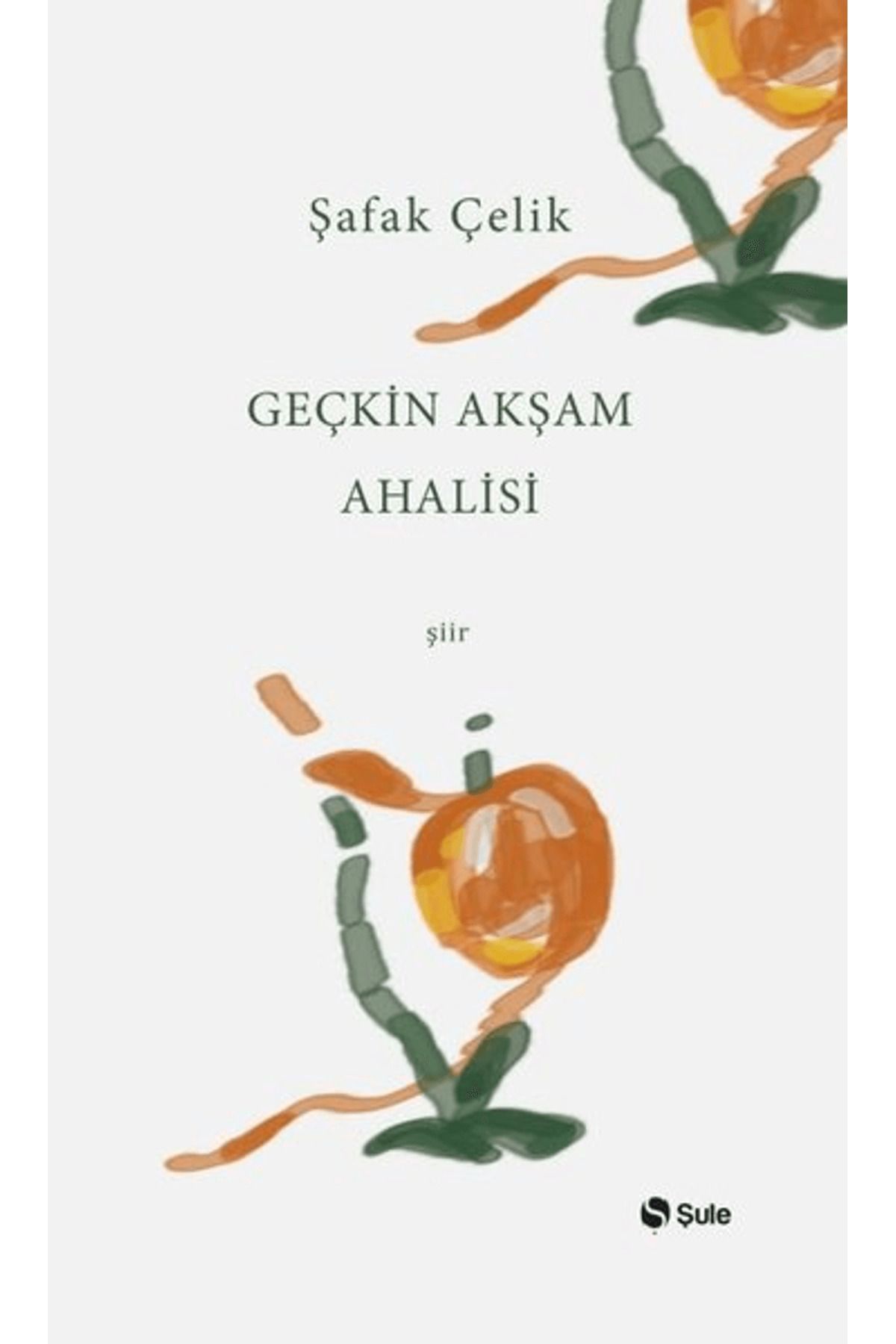 Şule Yayınları Geçkin Akşam Ahalisi