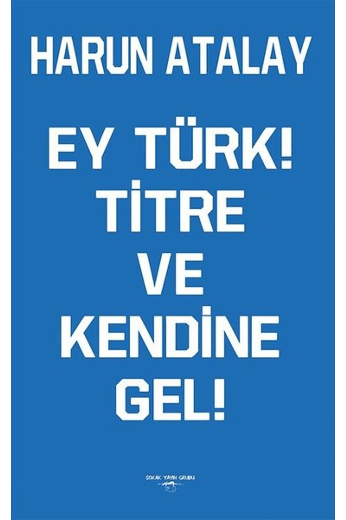 Sokak Kitapları Yayınları Ey Türk! Titre Ve Kendine Gel!