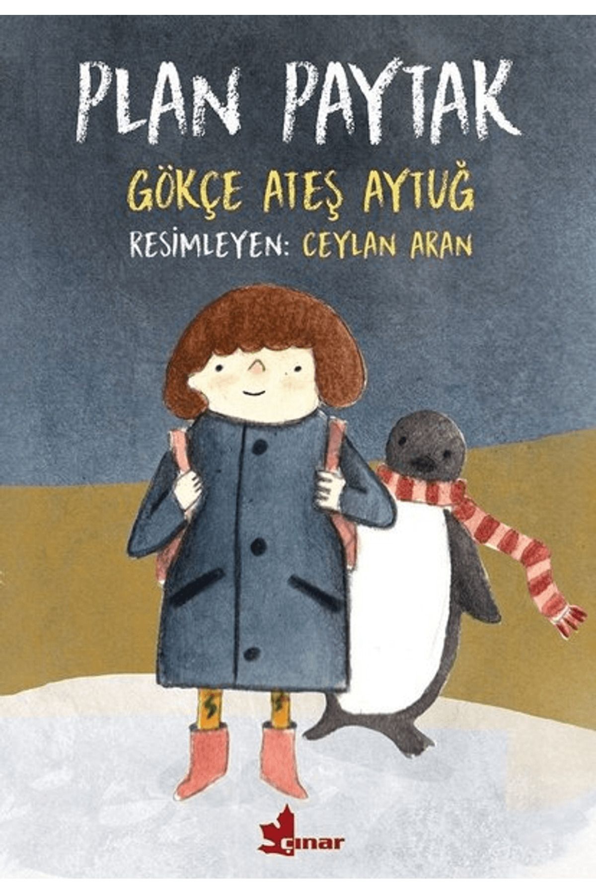Çınar Yayınları Plan Paytak