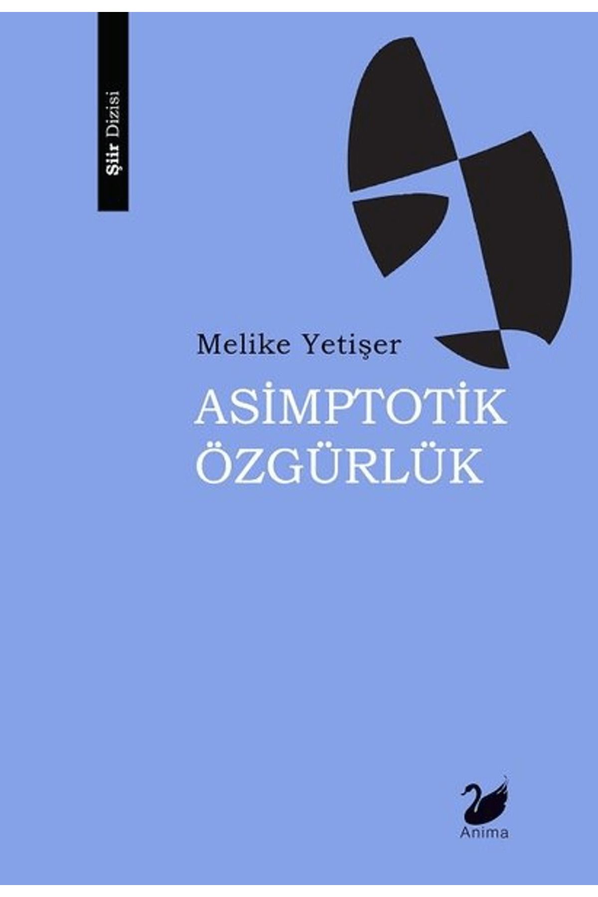 Anima Yayınları Asimptotik Özgürlük