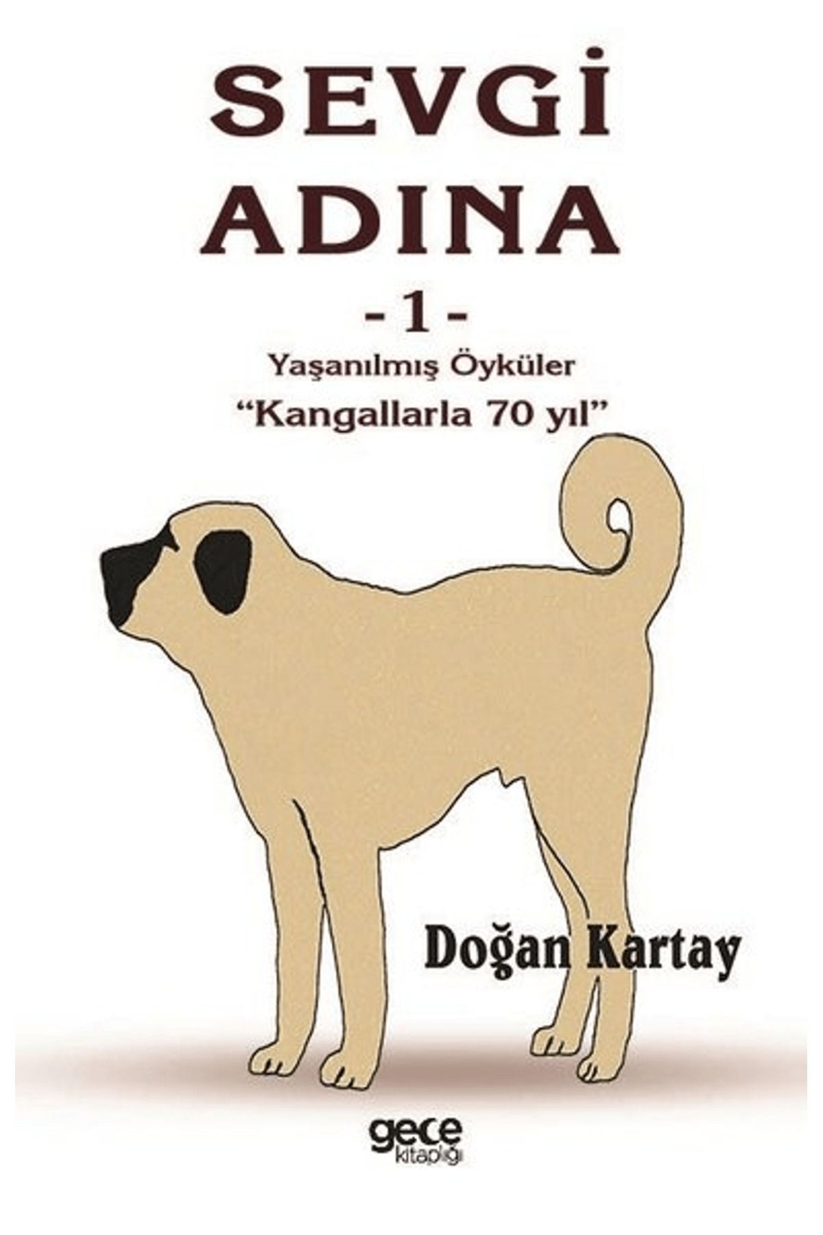 Gece Kitaplığı Sevgi Adına Öyküler 1
