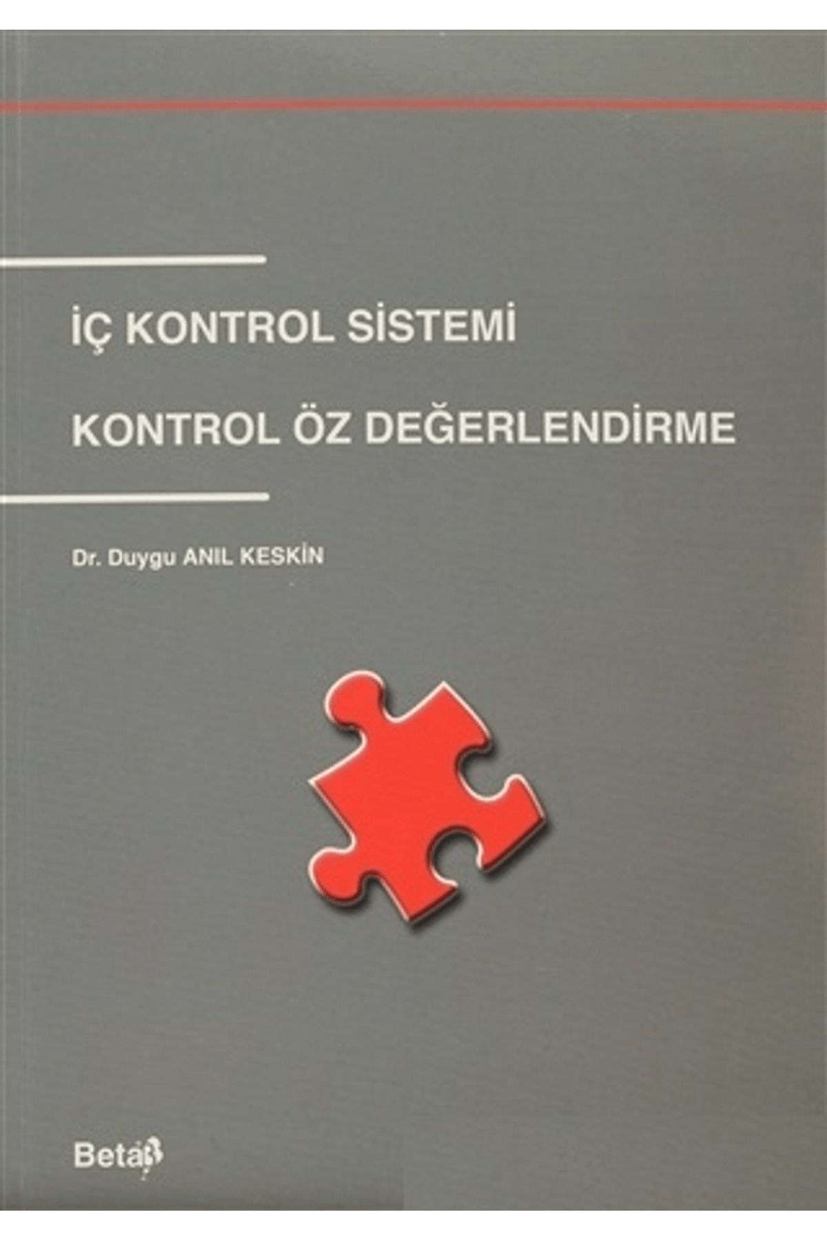 Beta Yayınevi İç Kontrol Sistemi