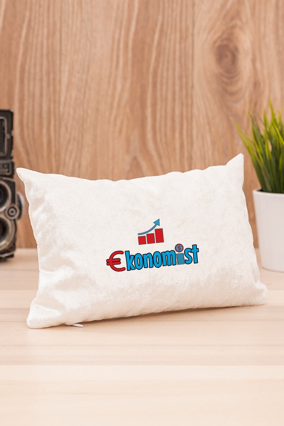teknotrust Ekonomist Meslek Araç Boyun Yastığı Konforlu ve Şık Destekli Tasarım