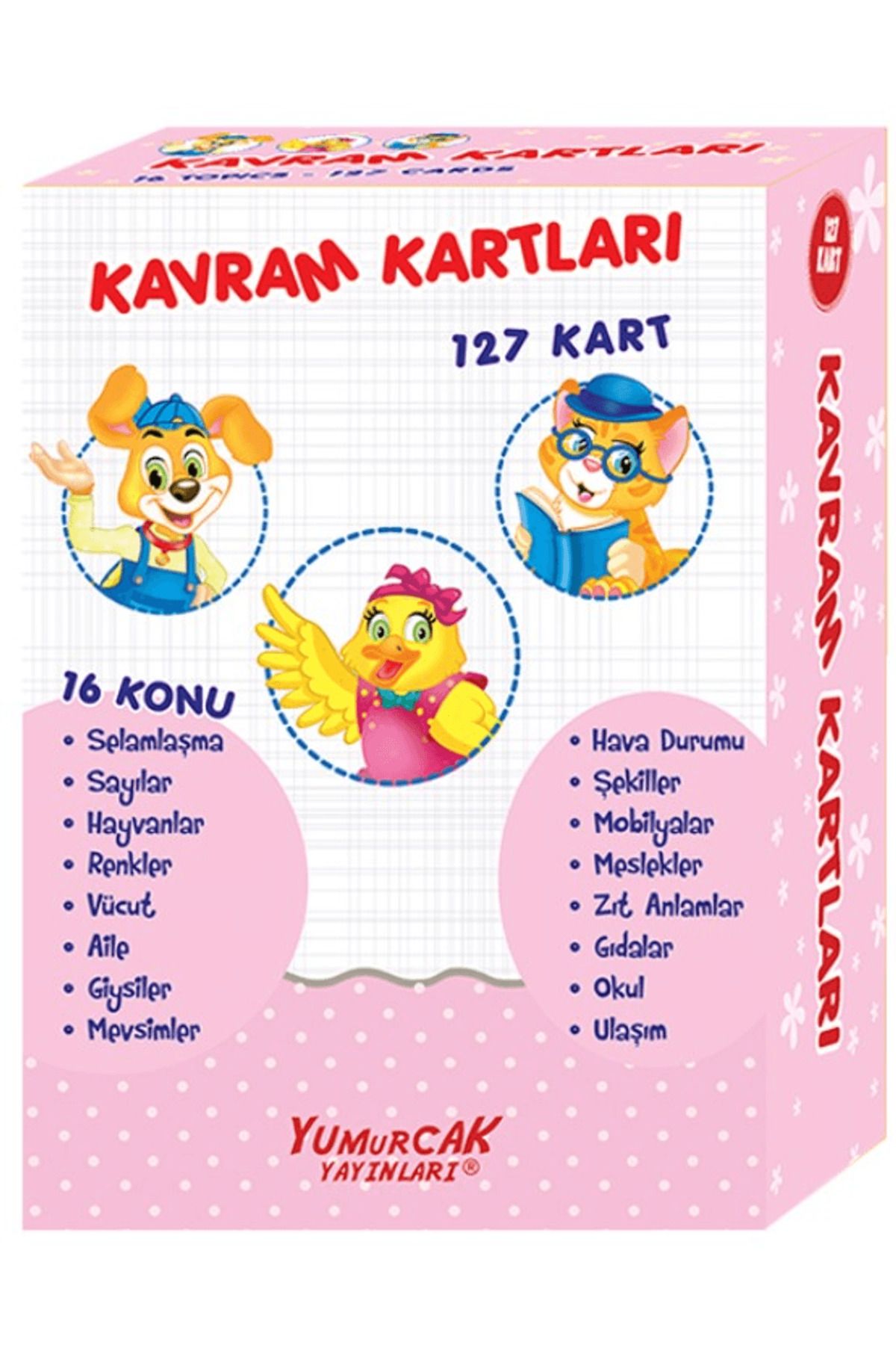 Yumurcak Yayınları Kavram Kartları 127 Kart