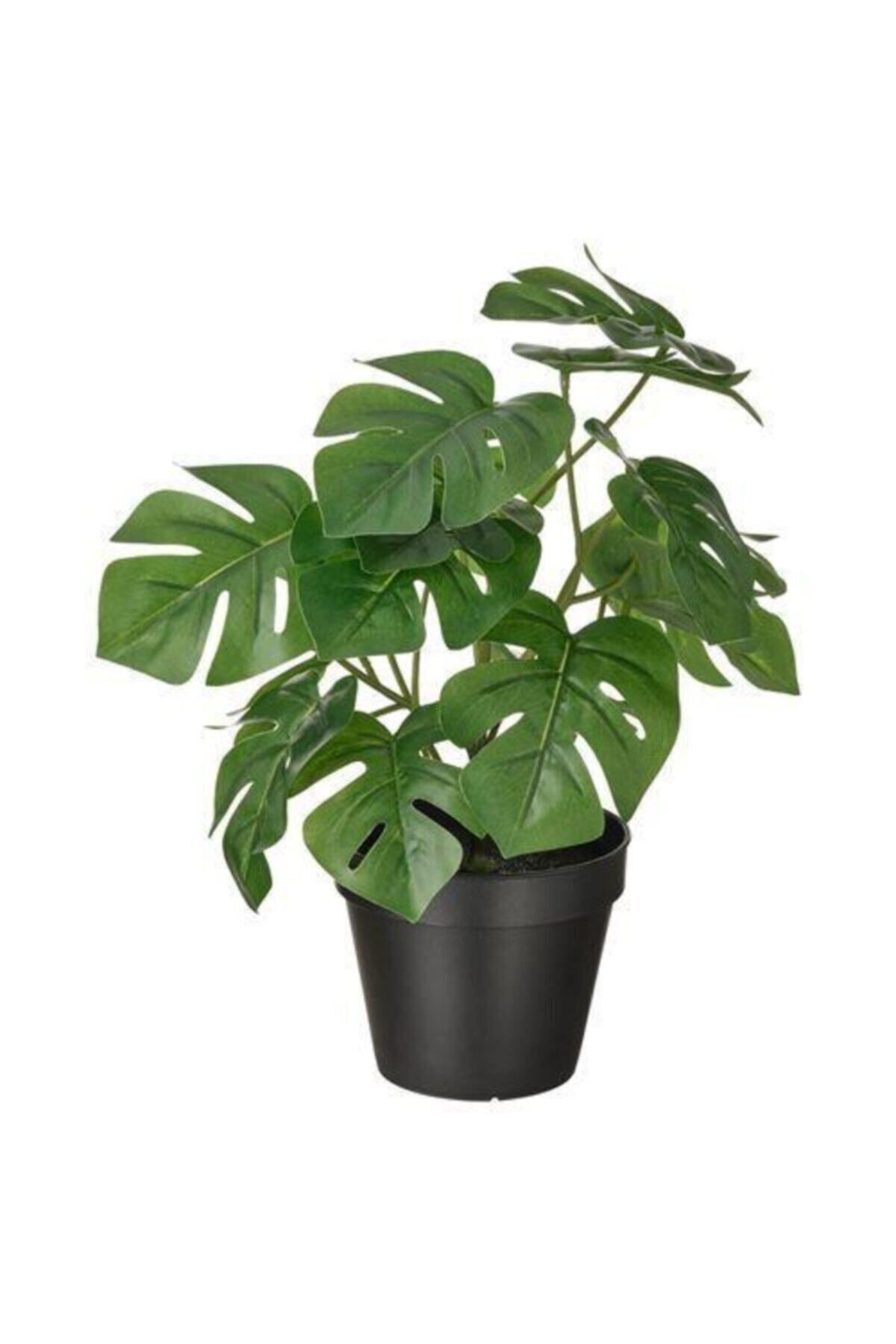 Elioure Yapay Monstera Bitki, Dekoratif ve Şık Yeşil Bitki 100 cm