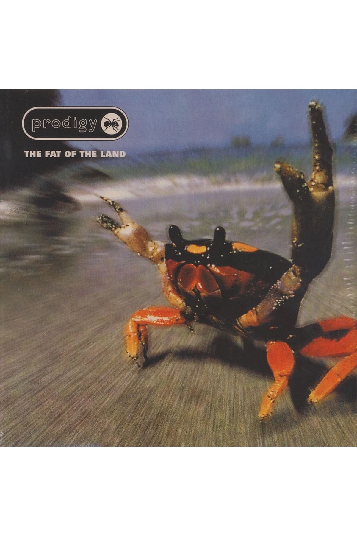 Plak The Prodigy - Fat Of The Land PLAK