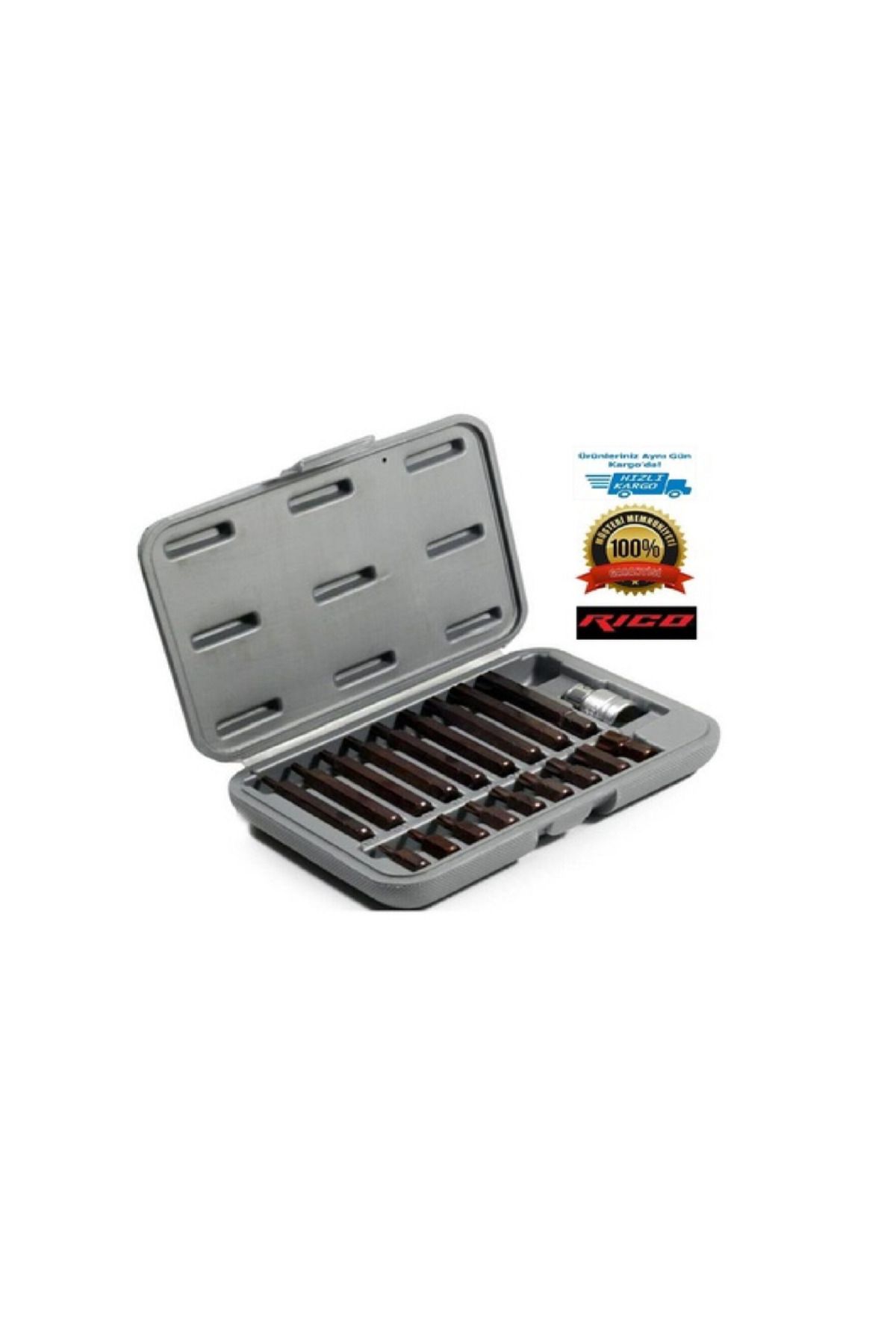 Rico 19 Adet Kaplamali Delikli Torx Bits Set