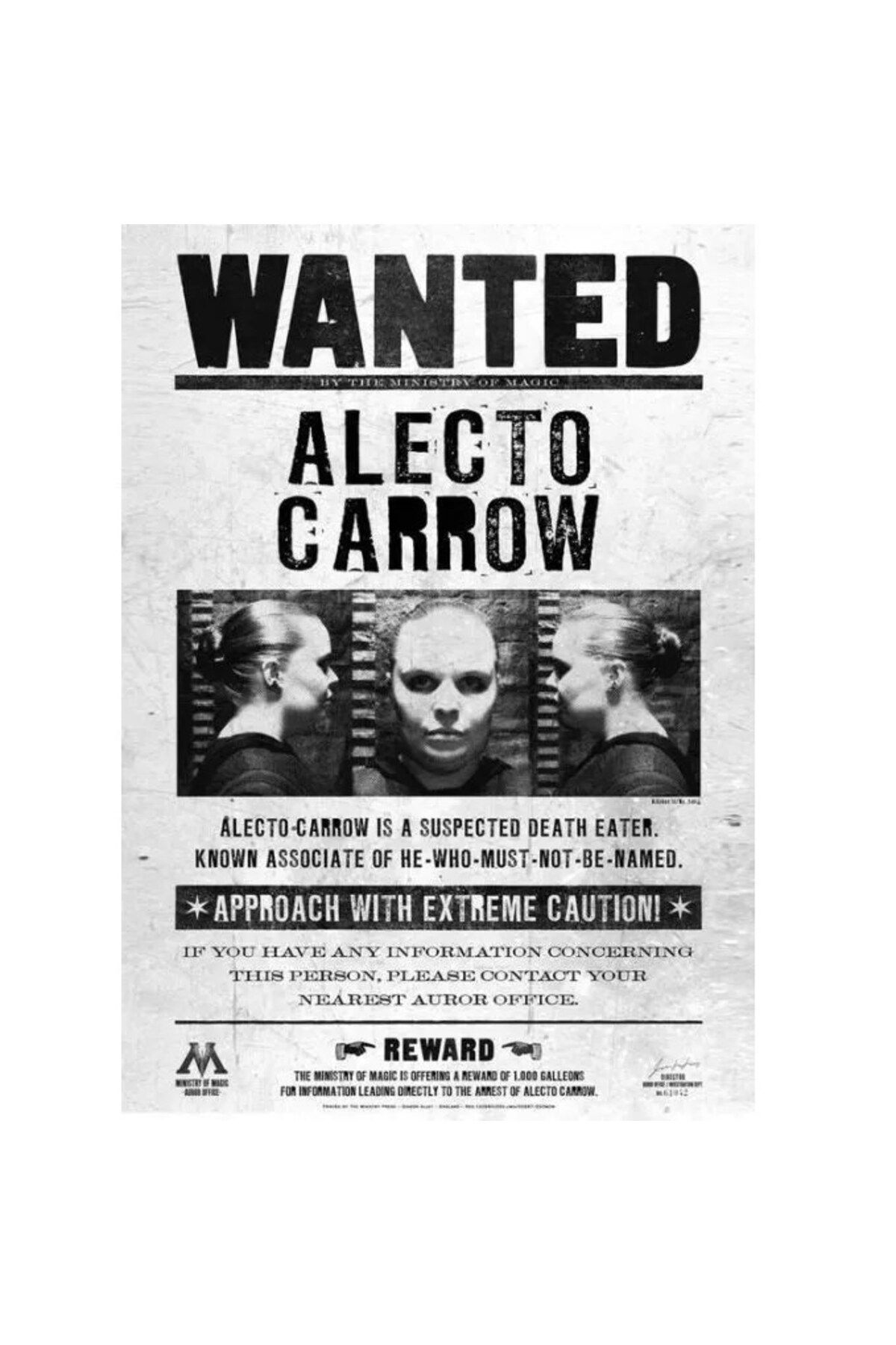 Warner Bross Harry Potter Wanted Duvar Posteri Alecto Carrow 50x70 cm