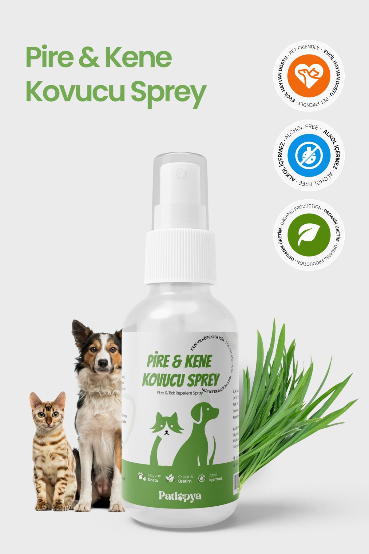 patiopya Pire Kene Kovucu Sprey -120ml