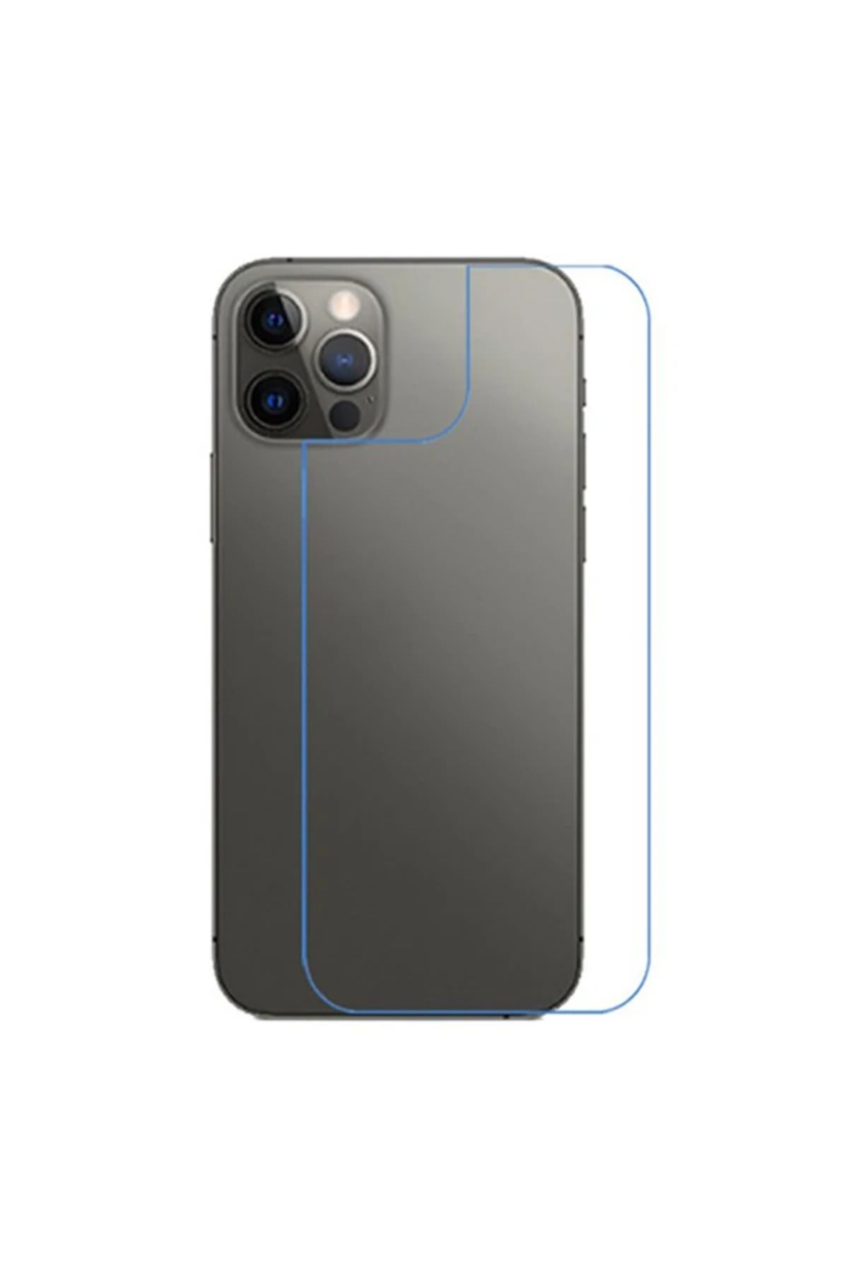 demila Ally İPhone 12/12 Pro 6.1 İnch Tempered Arka Kırılmaz Cam Koruyucu-(5775) - MLA4006-4316