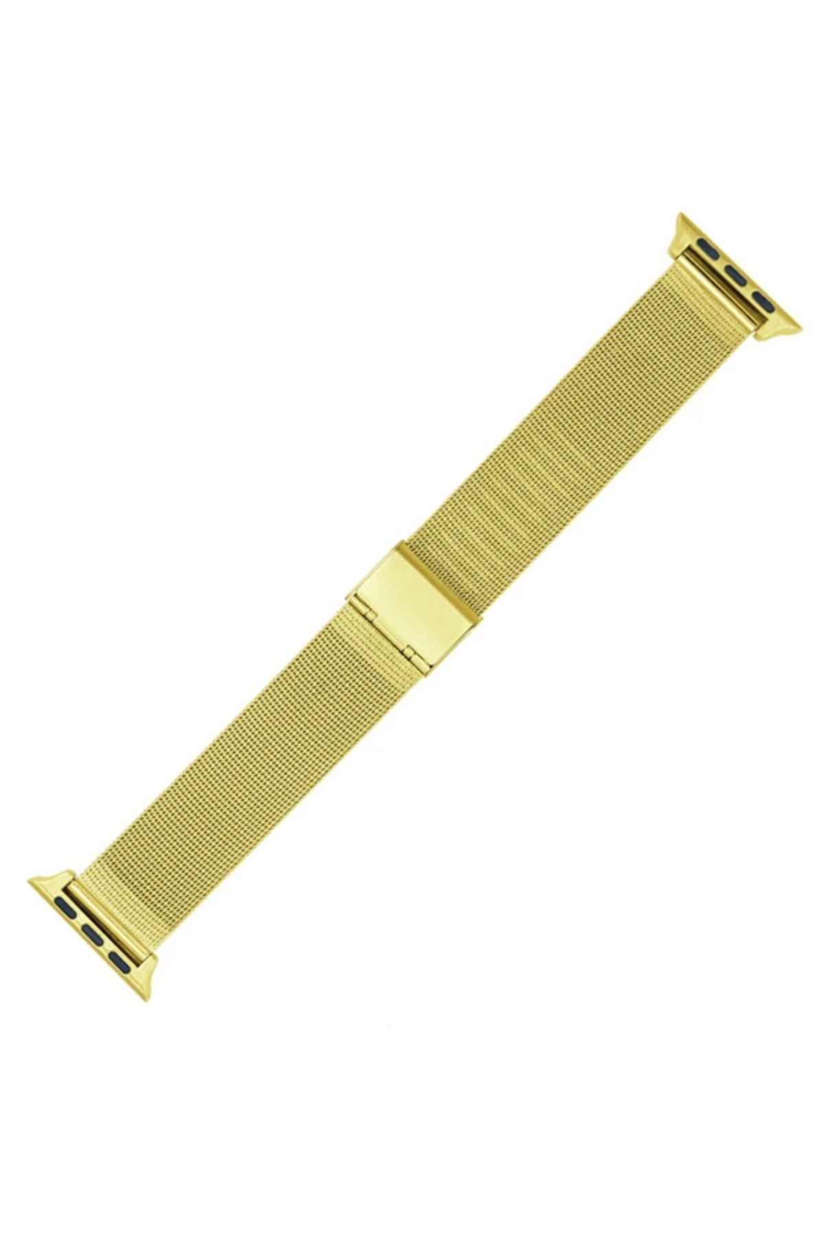 demila Ally Apple Watch 7-8 41mm 6-5-4 40mm Çelik Klasik Toka Kayış Kordon 3-2-1 38mm-(5 - MLA7604-7093