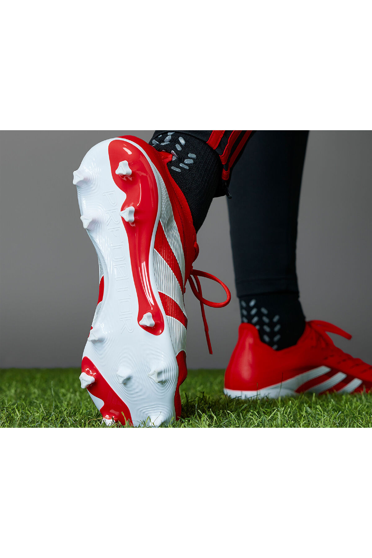 کفش فوتبال چمن Predator League Fg مردانه ID3745 قرمز