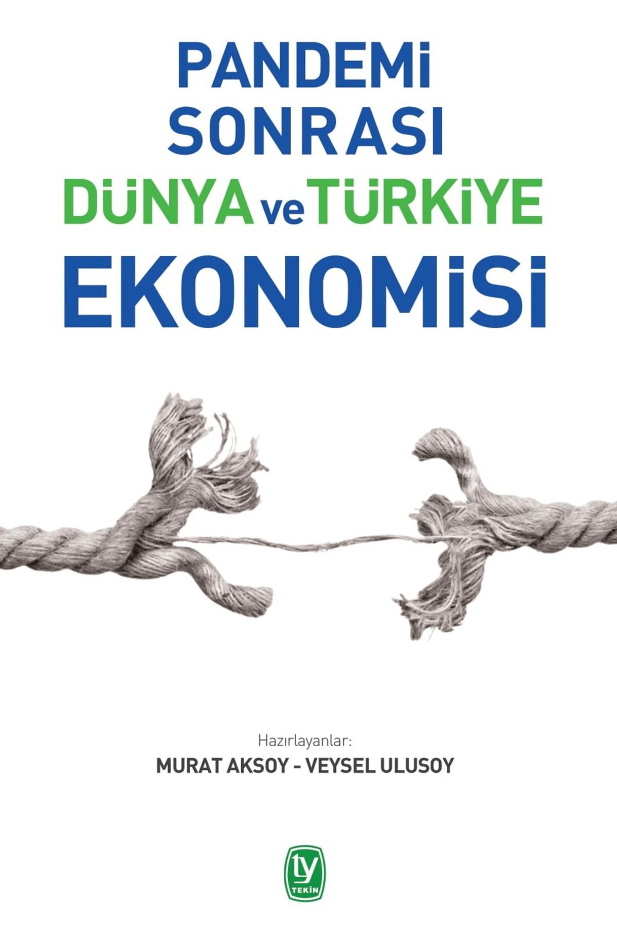 Tekin Yayınevi Pandemi Sonrası Dünya ve Türkiye Ekonomisi