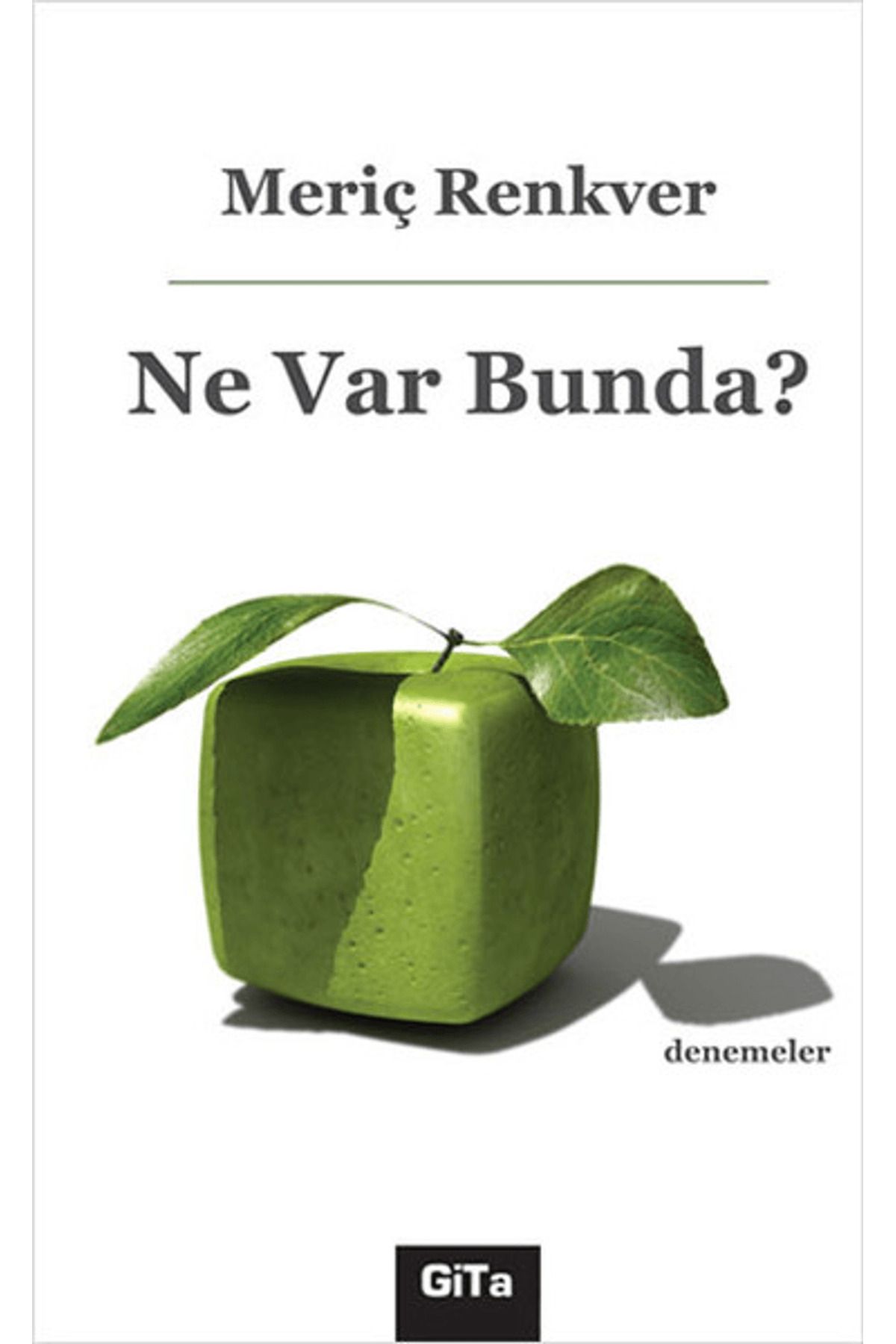 Gita Yayınları Ne Var Bunda?