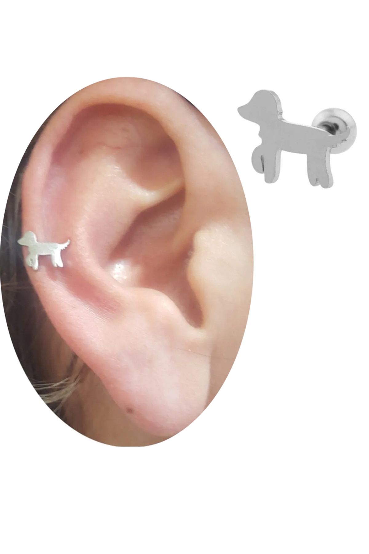 Cadının Dükkanı Çelik Köpek Tragus Helix Kıkırdak Piercing