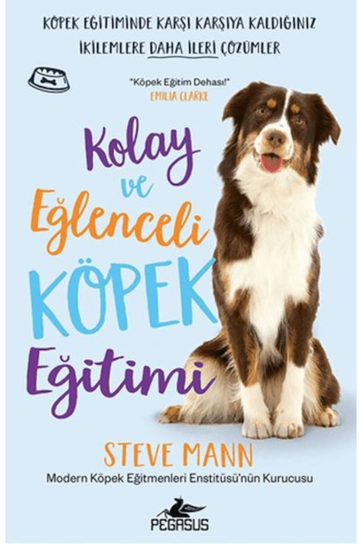 Destek Yayınları Kolay ve Eğlenceli Köpek Eğitimi