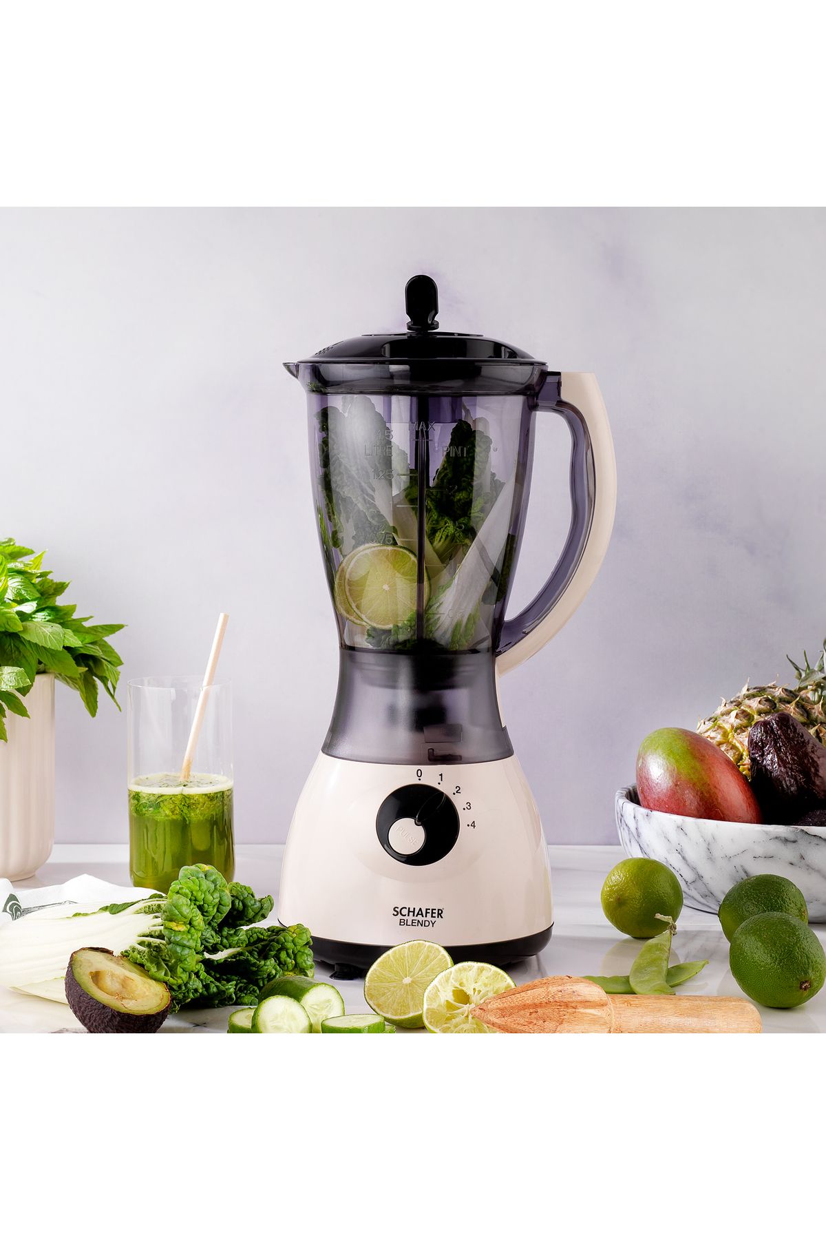 Schafer Blendy Sürahi Blender-Krem