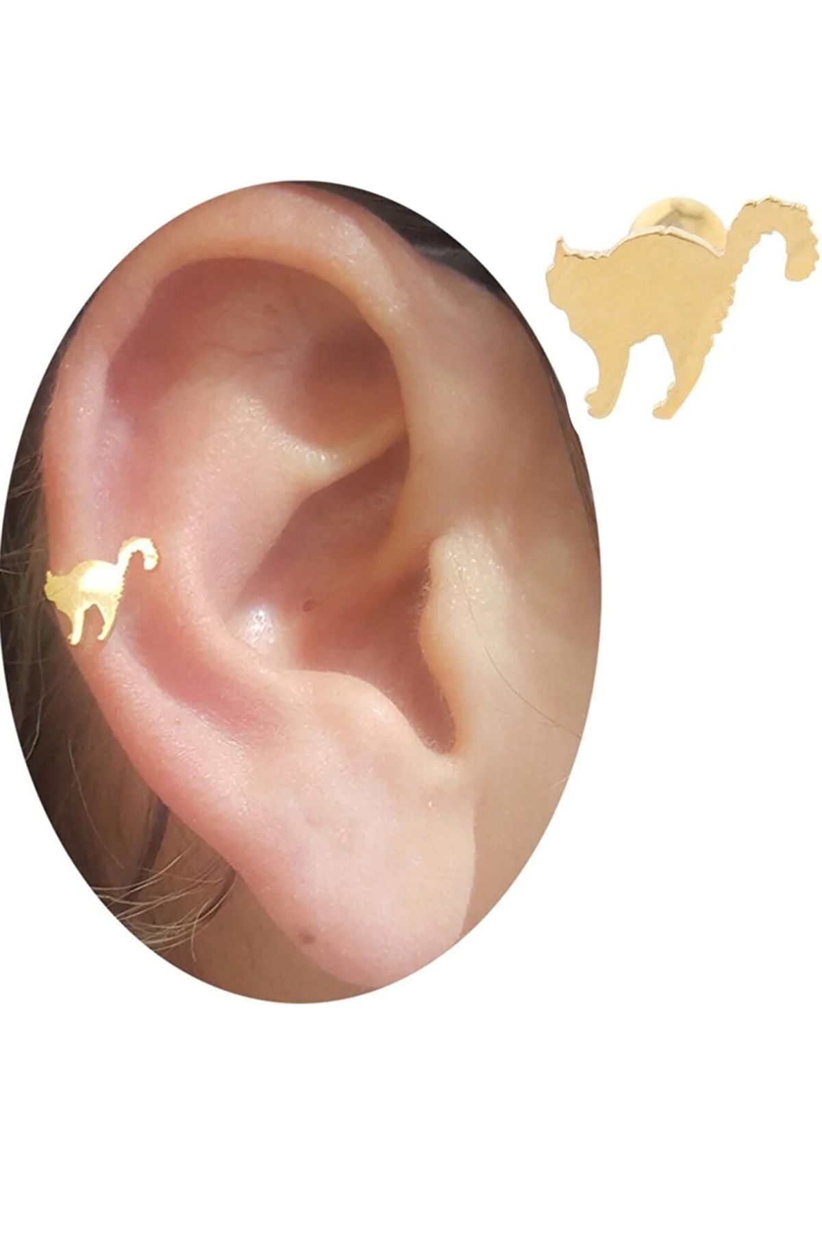 Cadının Dükkanı Çelik Kedi Gold Tragus Helix Kıkırdak Piercing