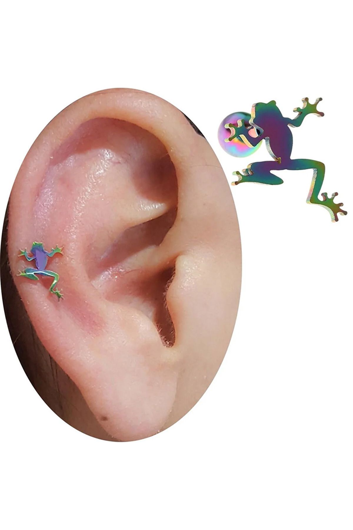 Cadının Dükkanı Çelik Kurbağa Gökkuşağı Tragus Helix Kıkırdak Piercing