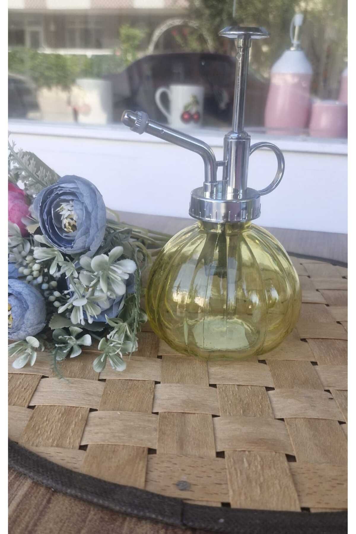 Home Cam Sıvıyağ Pompası