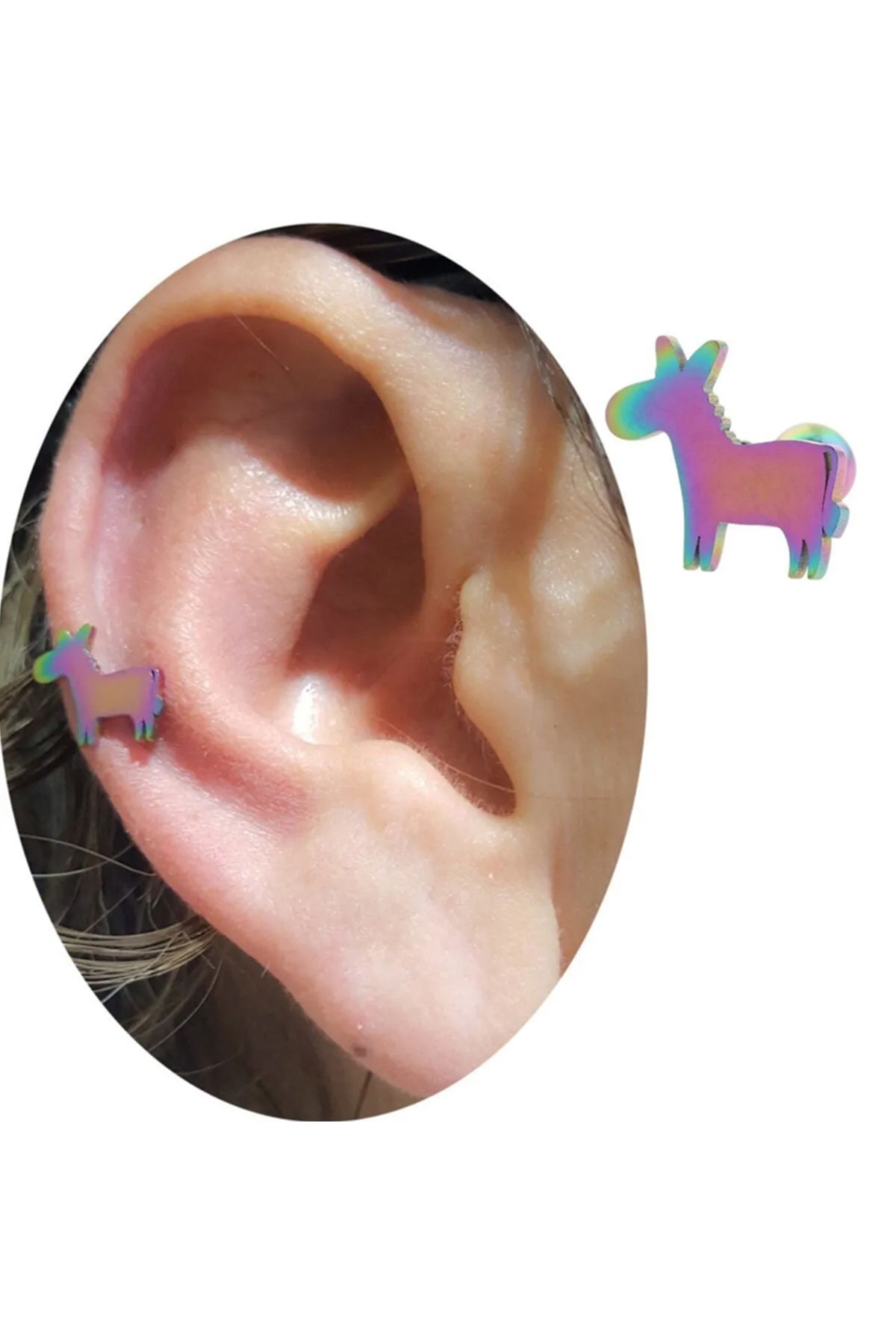 Cadının Dükkanı Çelik Eşek Gökkuşağı Tragus Helix Kıkırdak Piercing