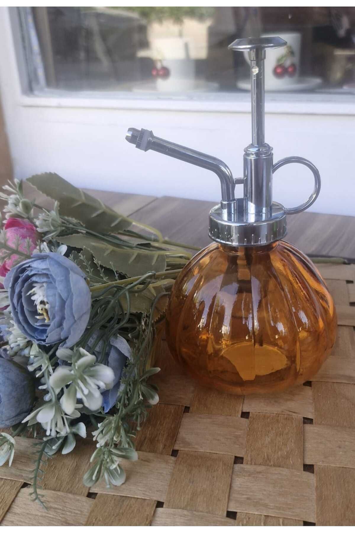 Home Cam Sıvıyağ Pompası