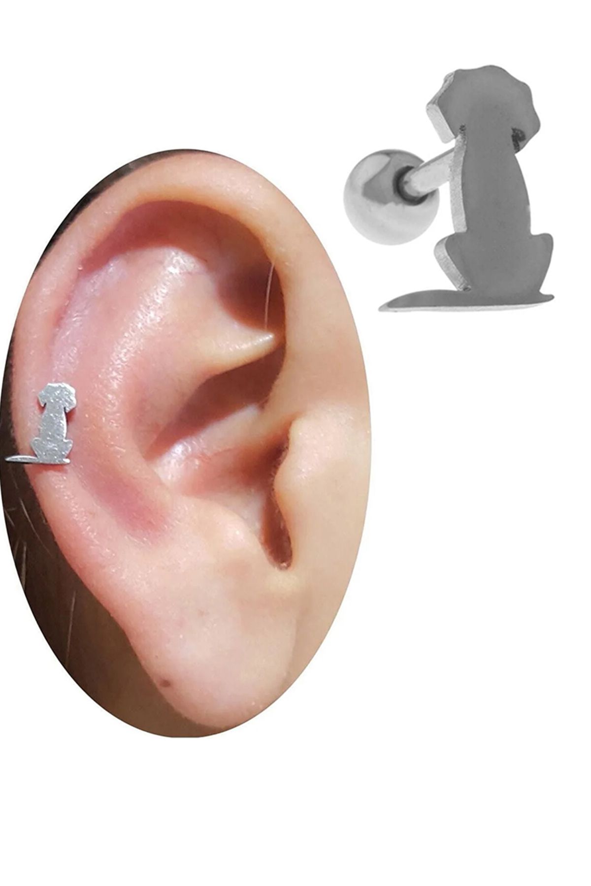 Cadının Dükkanı Çelik Köpek Tragus Helix Kıkırdak Piercing