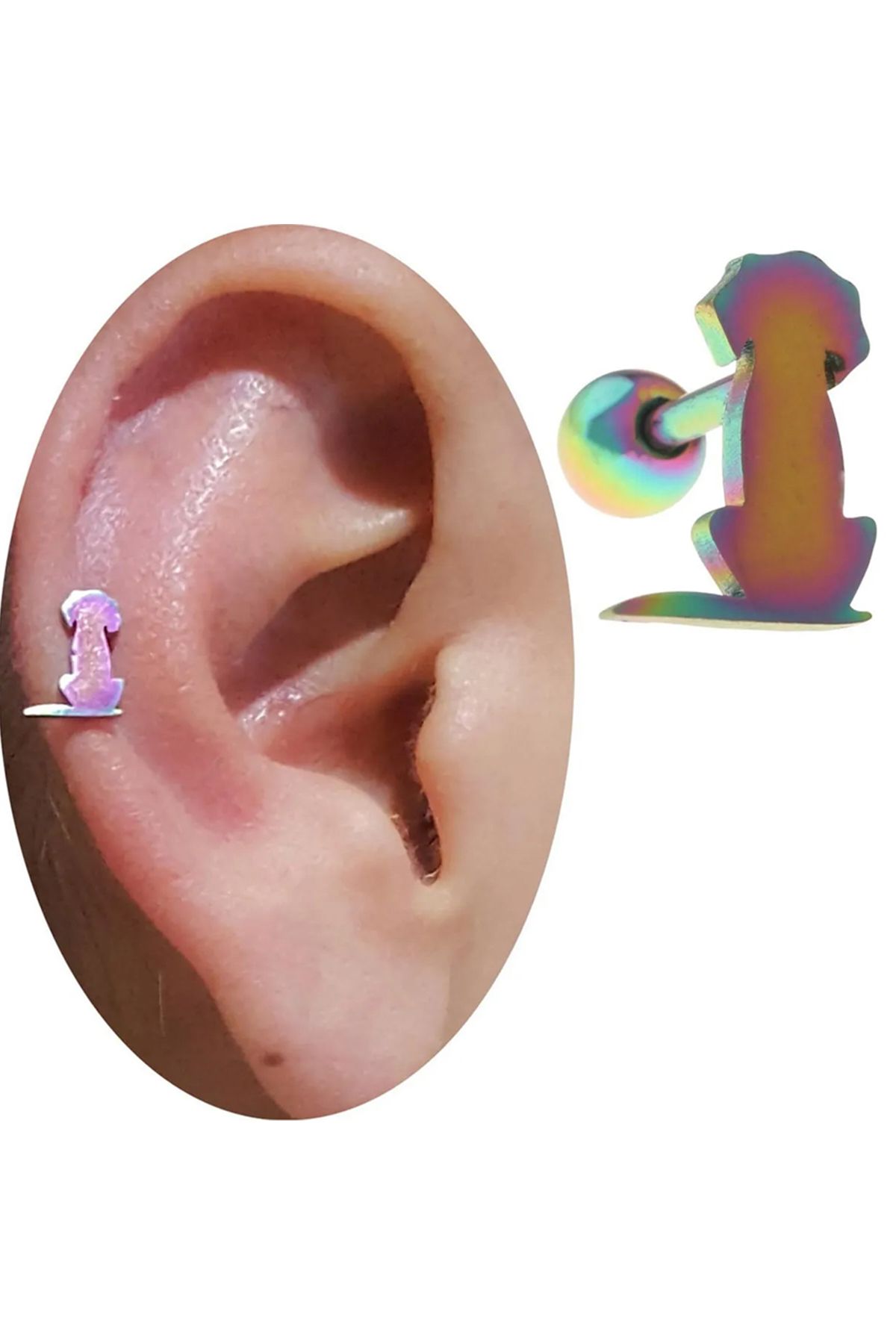 Cadının Dükkanı Çelik Köpek Gökkuşağı Tragus Helix Kıkırdak Piercing