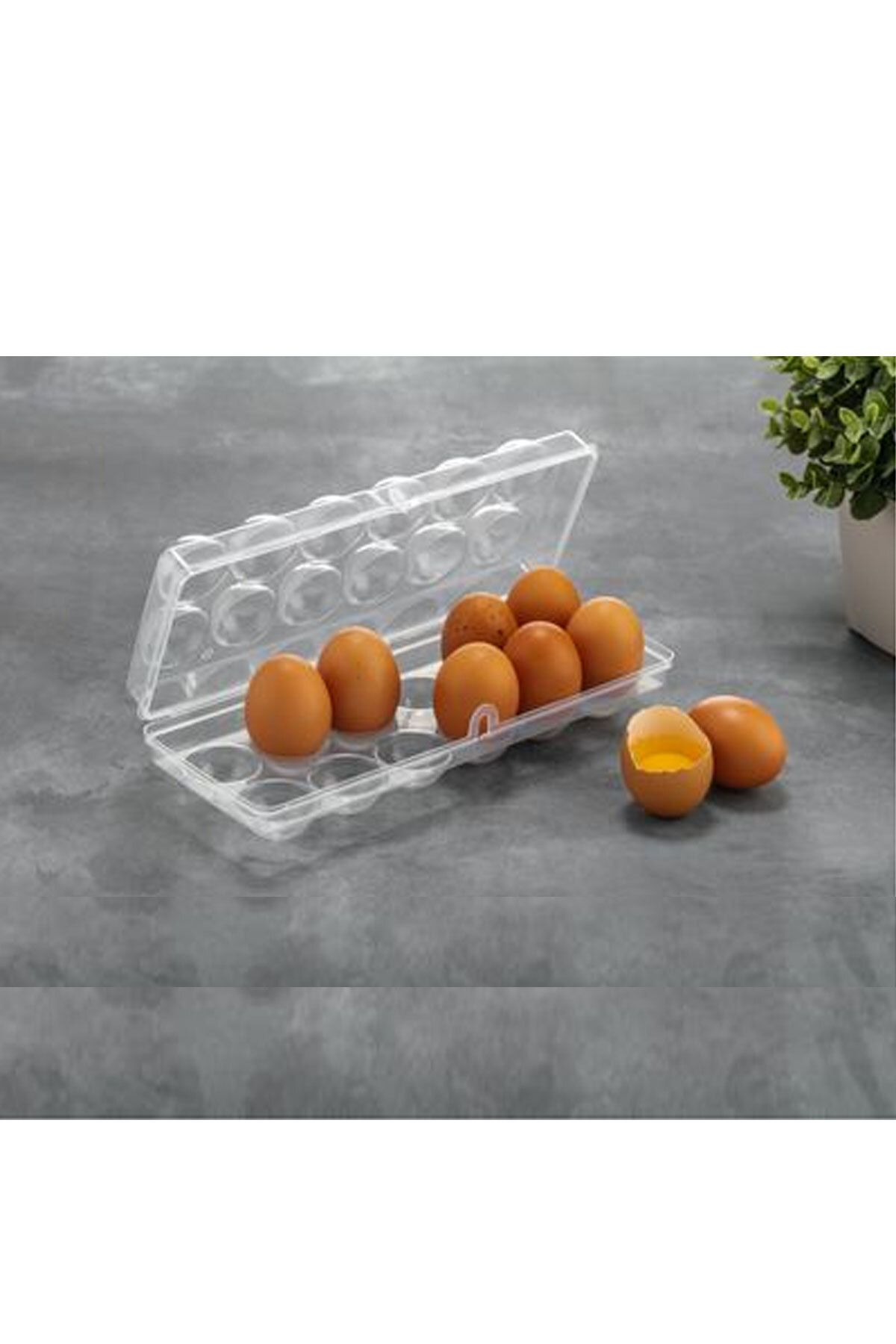 SİHİRLİ AYAKLAR 12'li Kapaklı Yumurta Saklama Kabı Buzdolabı Düzenleyici & Organizer 27x9,5cm BPA Free