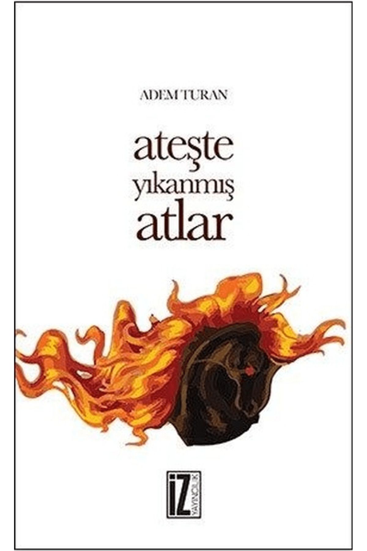 İz Yayıncılık Ateşte Yıkanmış Atlar