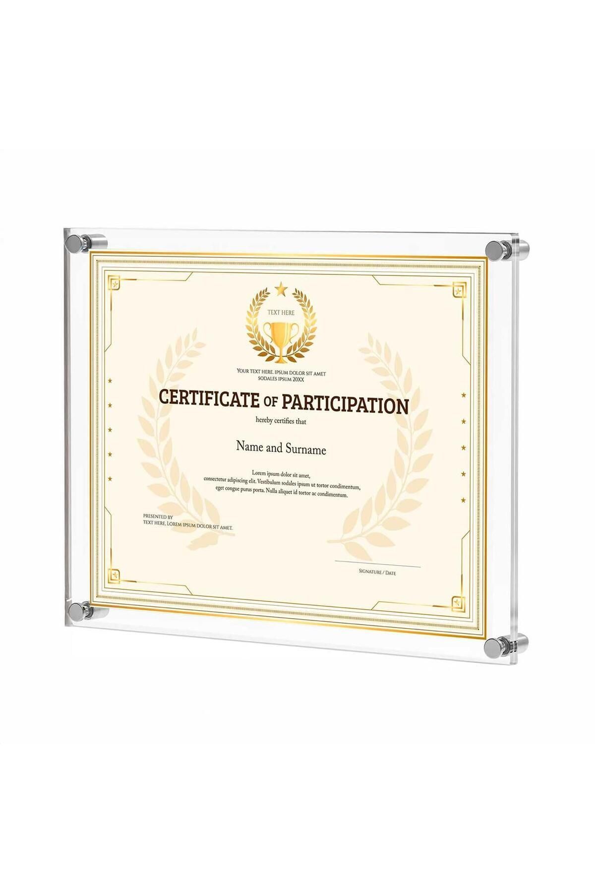 Elioure A4 Pleksi Duvar Çerçevesi, Şeffaf, Vidalı, Duyuru ve Diploma Panosu