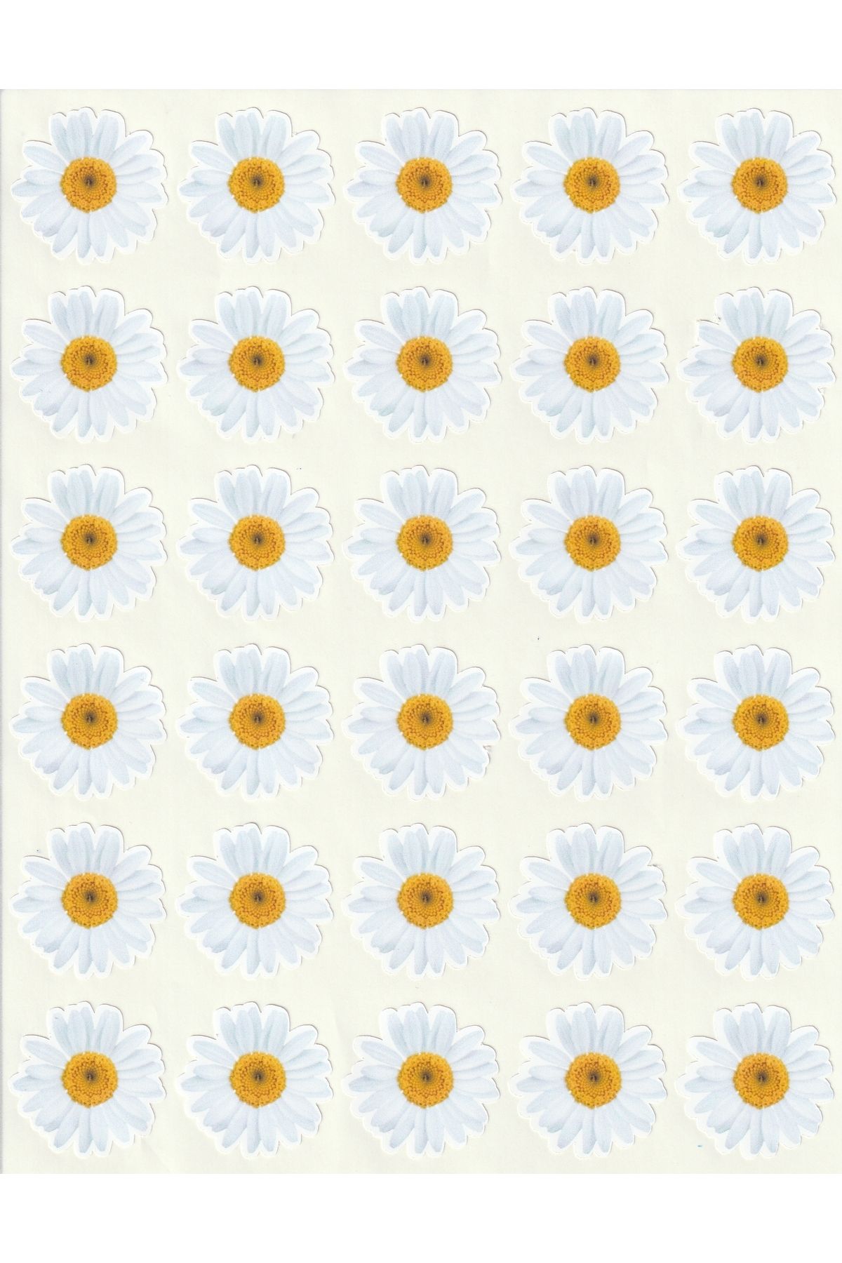 NUNUKİ Beyaz Papatyalar Sticker Seti 3,2 cm Spring Daisies Daisy Stickers Bahar Papatya Etiket NSTI0215