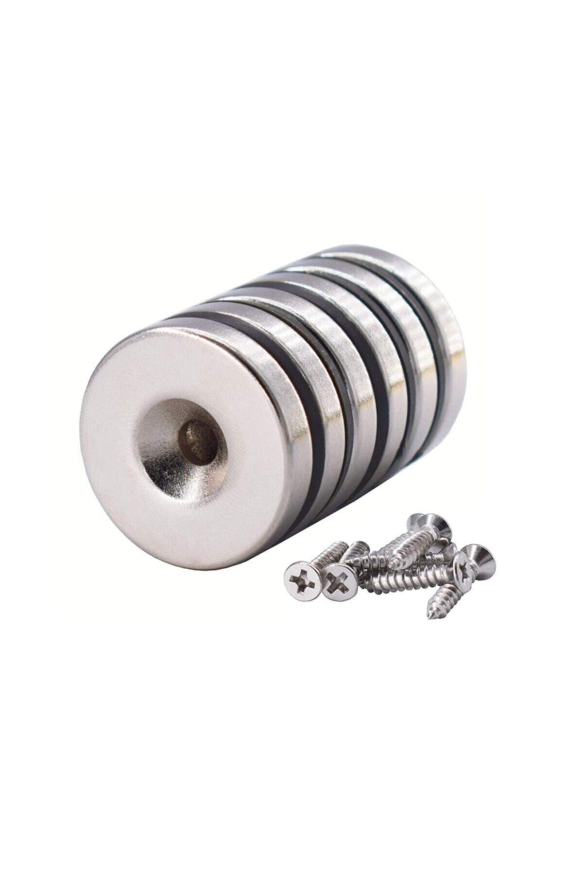 Elioure Güçlü 30x10/5x6mm havşa delikli neodyum mıknatıs seti, gri renk