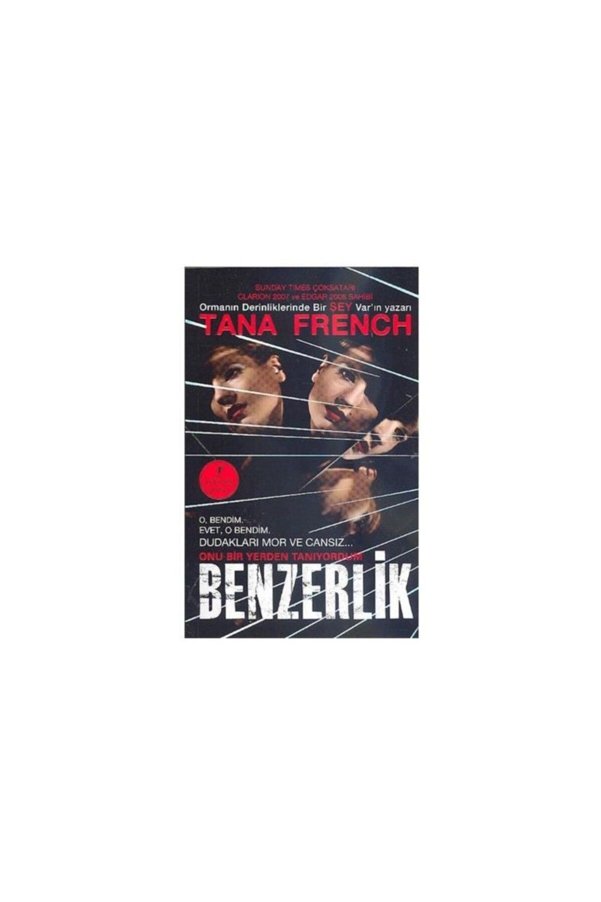 Artemis Yayınları Benzerlik - Tana French