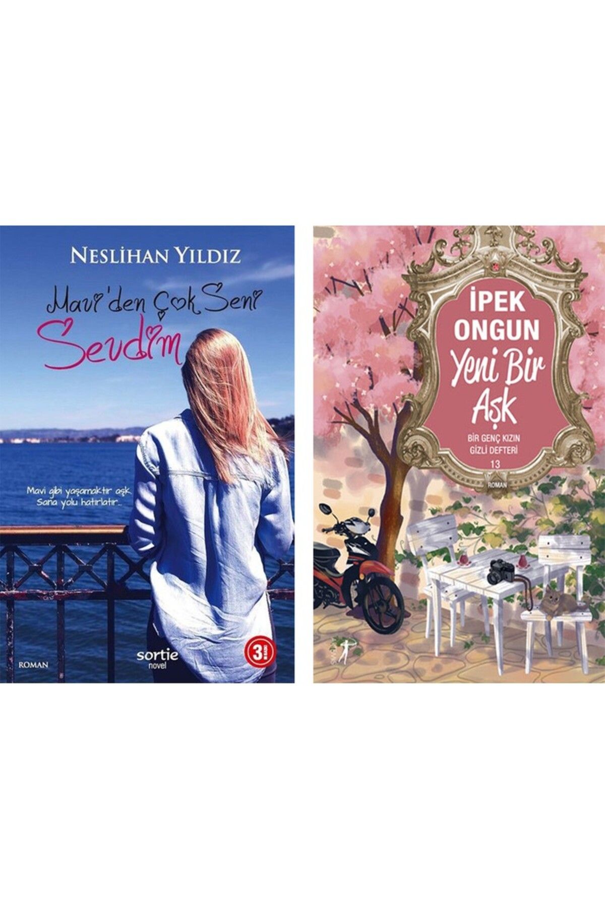 Artemis Yayınları Mavi’den Çok Seni Sevdim - Yeni Bir Aşk