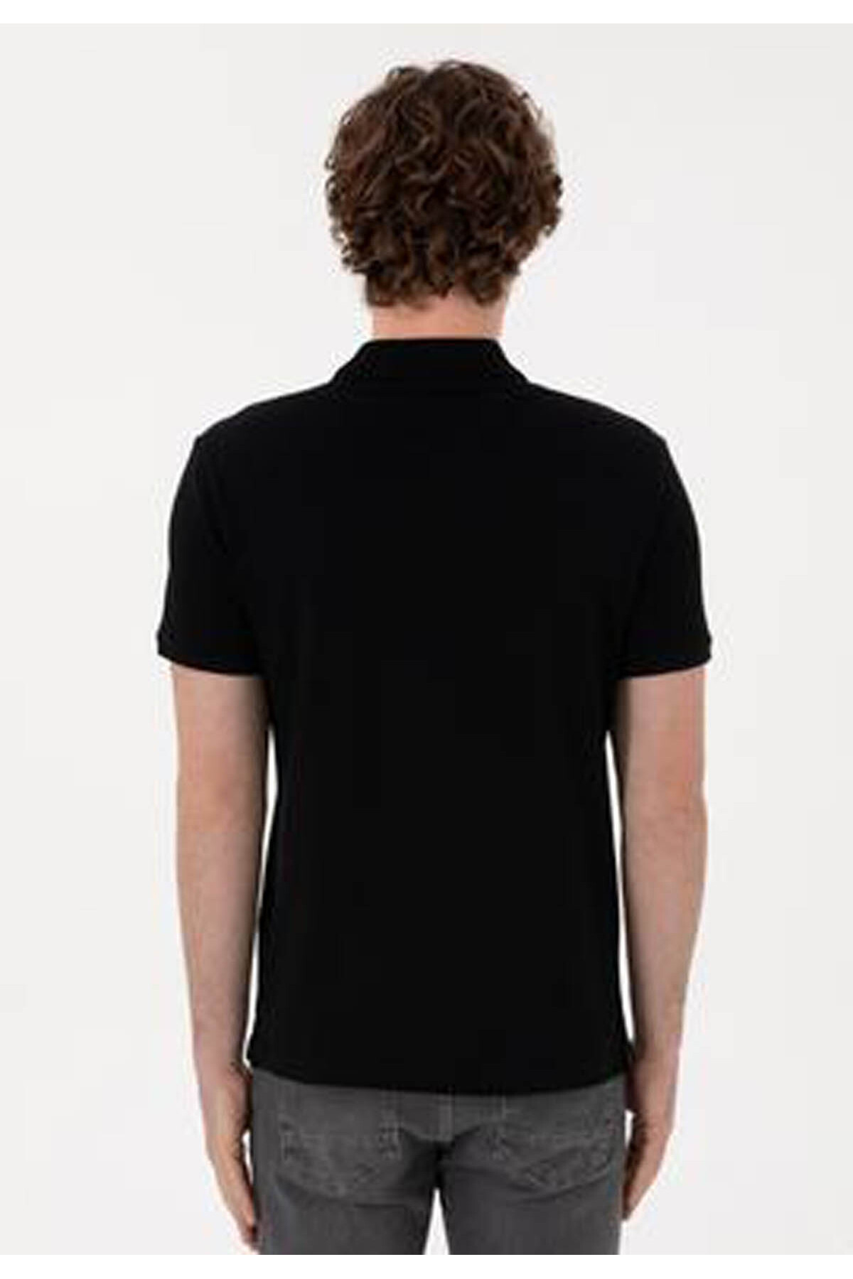 تیشرت یقه پلو مردانه راسته آستین کوتاه | یو اس پولو U.S. Polo Assn. 2084410 - تصویر 5
