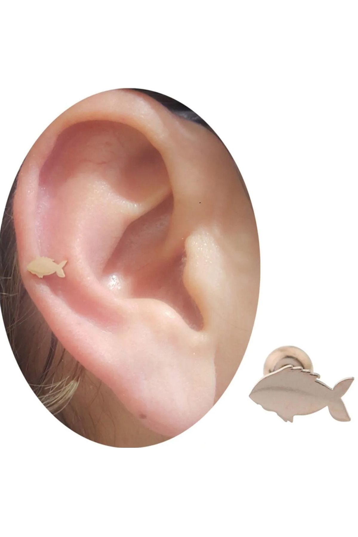Cadının Dükkanı Çelik Rose Balık Tragus Helix Kıkırdak Piercing