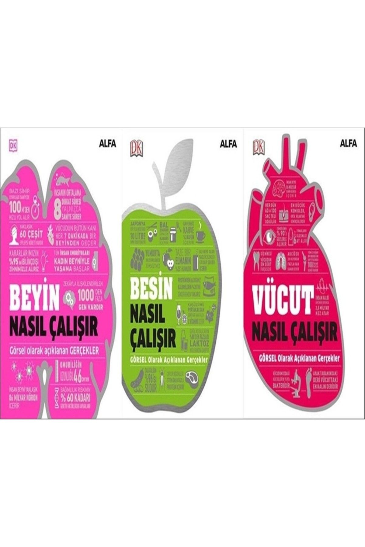 Alfa Yayınları Nasıl Çalışır Görsel Kitap Seti 1 Beyin Nasıl Çalışır - Vücut Nasıl Çalışır - Besin Nasıl Çalışır