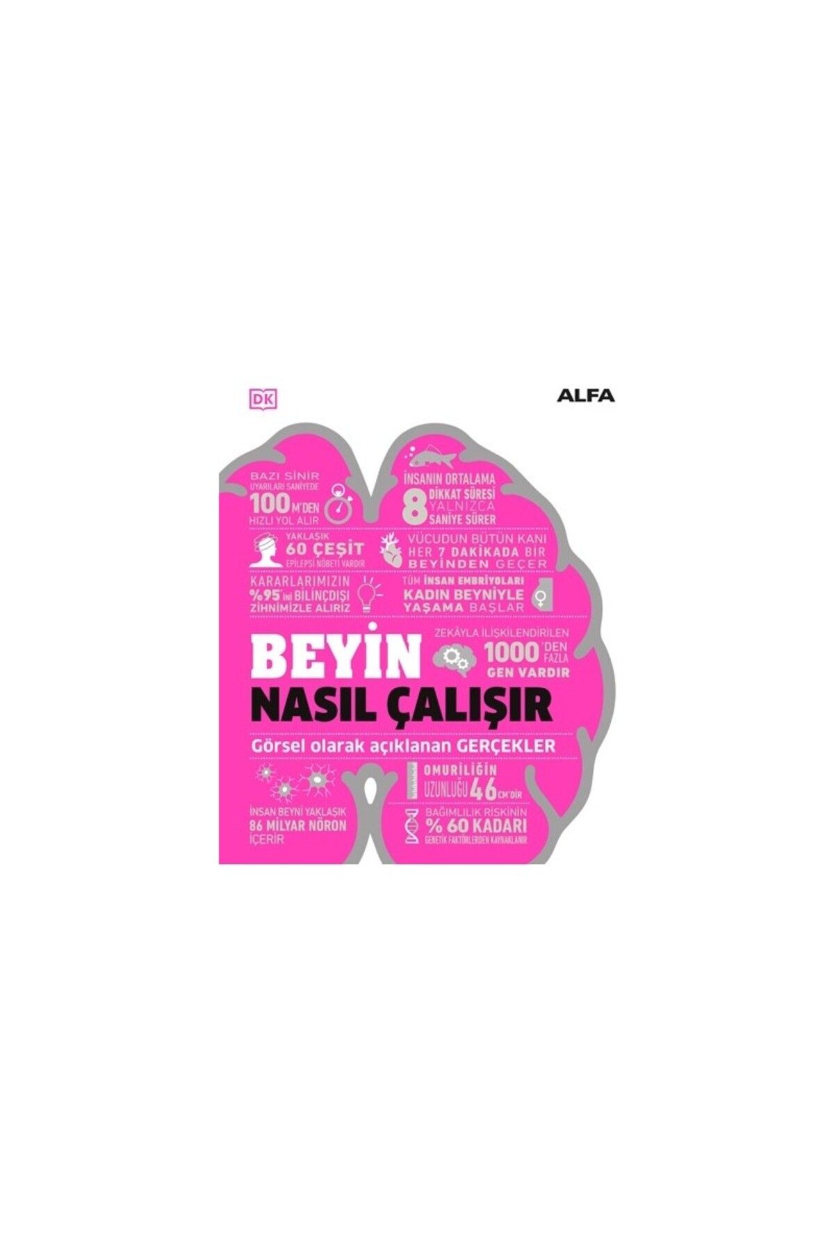 Alfa Yayınları Beyin Nasıl Çalışır