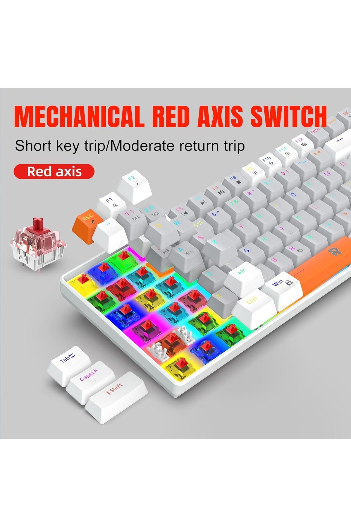 ROCK POW-Mechanical Gaming Wired Keyboard 70% Rock Pow, 84 RGB Backlit Keys, Compact for PC/Mac Gaming and Pr 5