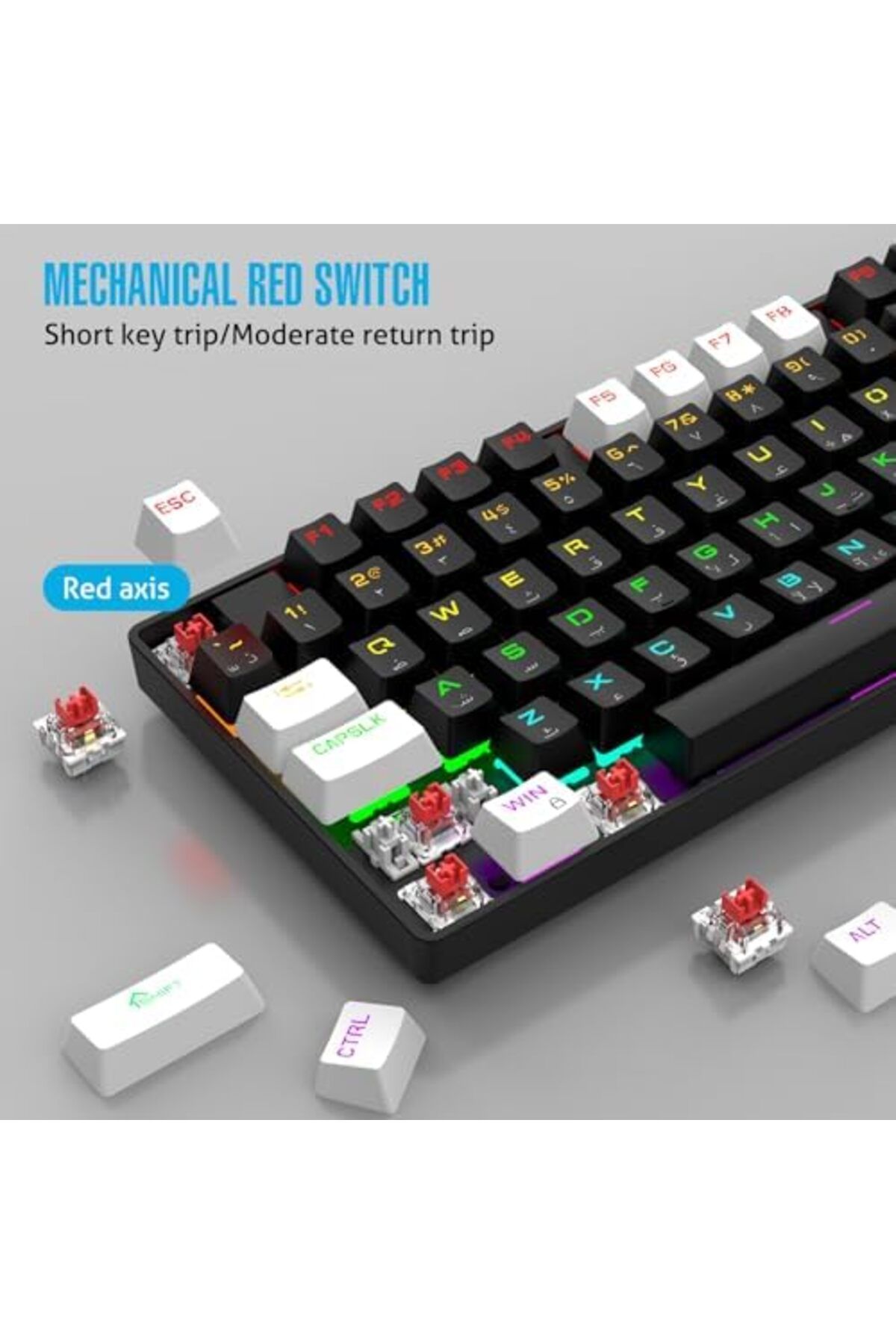 ROCK POW-75% Gaming Keyboard, Arabic English 87 Keys Mechanical Keyboard with RGB Backlit 19 Modes, 4