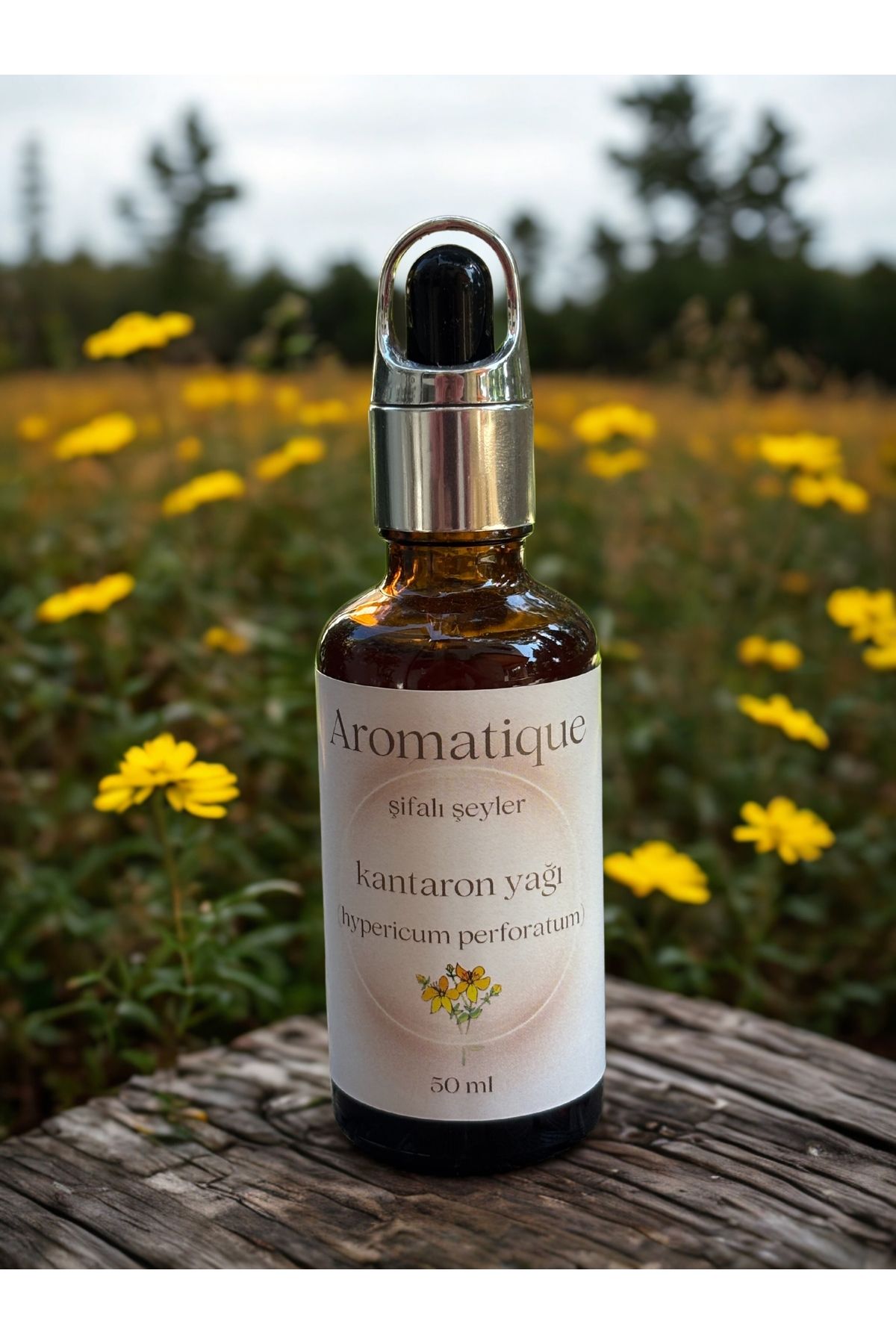 Aromatique Kantaron Yağı